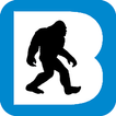 BigFootCamera
