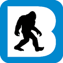 BigFootCamera APK