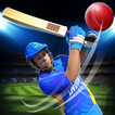 ”Real World Cricket 18: Cricket Games