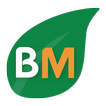 BigMart icon