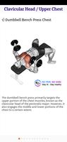 Chest Workout / Chest Anatomy Ekran Görüntüsü 1