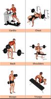 Workout Training Gym & Fitness Affiche