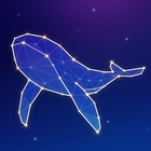 Linepoly icon