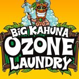 Big Kahuna Ozone Laundry