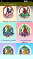 21 Tara Manifestations স্ক্রিনশট 1