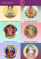 Tibetan Buddhist Mantras imagem de tela 1