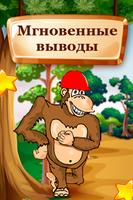 Monkey Catch постер