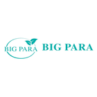 Big Para icône