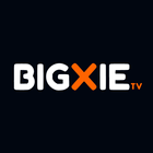 Bigxie pro icône