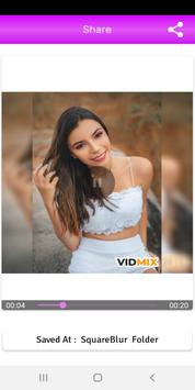 Blur Video 截图 1