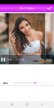 Blur Video 截图 7