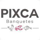 Pixca आइकन