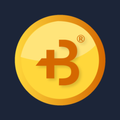 BIGtoken