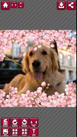 Cherry Blossom Sticker Ekran Görüntüsü 2