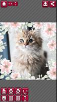 Cherry Blossom Sticker Ekran Görüntüsü 3