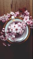 Cherry Blossom Wallpaper スクリーンショット 3