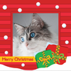 Christmas Photo Frame APK