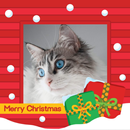 Christmas Photo Frame APK