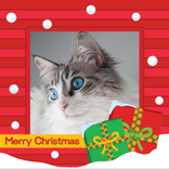 Christmas Photo Frame