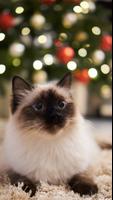 Christmas Wallpaper screenshot 3