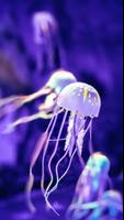 Jellyfish Wallpaper скриншот 2