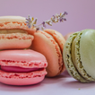 Macaron Wallpapers 圖標