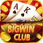 Download do APK de Big Win Casino Games para Android