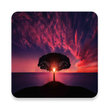 Sunset Wallpapers HD