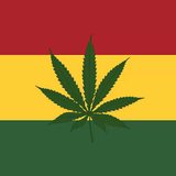 Reggae Music иконка