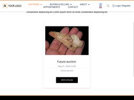 Auctions Bidspirit Demo screenshot 3