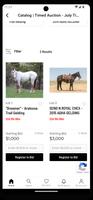 Colorado Horse Sale تصوير الشاشة 2