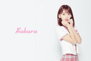 Sakura IZONE - Beautiful wallp 海报