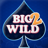 Big 2 Wild icône