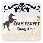 Ayam Penyet & Bandrek Bang Amin icône