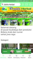 DALILA herbal plakat