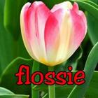 Flossie Boutique Online Shop आइकन