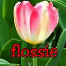 Flossie Boutique Online Shop APK