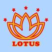 Lotus 1 Online Shop Tanah Abang