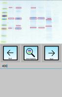 Gelapp: DNA&Prot Gel Analyzer скриншот 1
