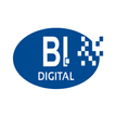 BI Group Service Desk