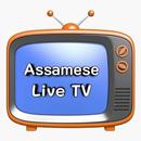 Assamese Live TV  (অসমীয়া লাইভ টিভি) APK