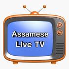 Assamese Live TV آئیکن
