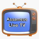 Assamese Live TV icon