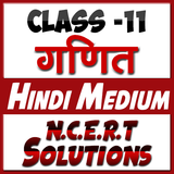 class 11 math solution hindi icône