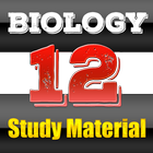 Class 12 Biology ícone