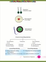 Class 12 Biology imagem de tela 3