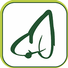БИОН icon