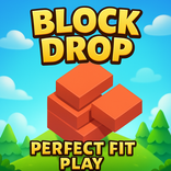 Block Drop Perfect Fit Play
