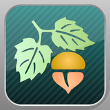 Focus on Plant APK