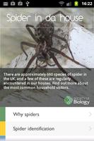 Spider in da house bài đăng